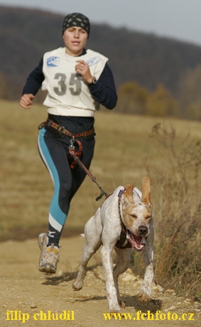 Bakonybel - 0085.JPG